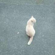 ヒメ日記 2026/06/22 15:53 投稿 ちか ぽちゃらん旭店