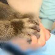 ヒメ日記 2026/08/14 11:48 投稿 ちか ぽちゃらん旭店