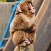 ヒメ日記 2026/09/28 12:58 投稿 ちか ぽちゃらん旭店