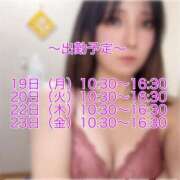 ヒメ日記 2025/05/18 18:43 投稿 つかさ フェアリードール