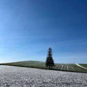 ヒメ日記 2024/12/28 16:31 投稿 新人・海七(みな) グランドオペラ福岡