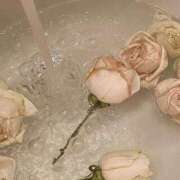 ヒメ日記 2025/01/14 08:02 投稿 新人・海七(みな) グランドオペラ福岡