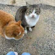 ヒメ日記 2025/02/21 09:02 投稿 新人・海七(みな) グランドオペラ福岡