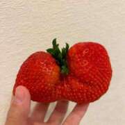 ヒメ日記 2025/03/05 08:41 投稿 新人・海七(みな) グランドオペラ福岡