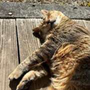 ヒメ日記 2025/04/19 23:41 投稿 新人・海七(みな) グランドオペラ福岡