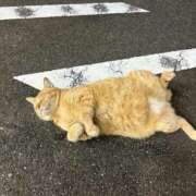 ヒメ日記 2025/05/11 22:04 投稿 新人・海七(みな) グランドオペラ福岡