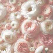 ヒメ日記 2025/06/01 10:11 投稿 新人・海七(みな) グランドオペラ福岡