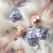 ヒメ日記 2025/06/05 10:33 投稿 新人・海七(みな) グランドオペラ福岡