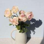 ヒメ日記 2025/06/11 11:11 投稿 新人・海七(みな) グランドオペラ福岡