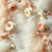 ヒメ日記 2025/06/17 20:37 投稿 新人・海七(みな) グランドオペラ福岡