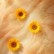 ヒメ日記 2025/06/18 09:14 投稿 新人・海七(みな) グランドオペラ福岡