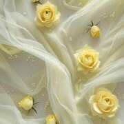 ヒメ日記 2025/06/18 13:03 投稿 新人・海七(みな) グランドオペラ福岡