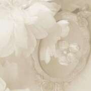 ヒメ日記 2025/06/20 07:31 投稿 新人・海七(みな) グランドオペラ福岡