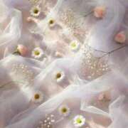 ヒメ日記 2025/06/25 22:08 投稿 新人・海七(みな) グランドオペラ福岡