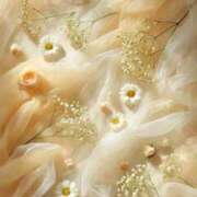 ヒメ日記 2025/06/27 11:41 投稿 新人・海七(みな) グランドオペラ福岡