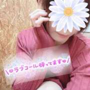 ヒメ日記 2025/03/19 12:15 投稿 かりあ 成田人妻花壇