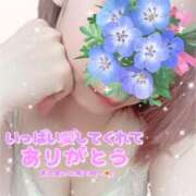 ヒメ日記 2025/05/12 09:15 投稿 かりあ 成田人妻花壇