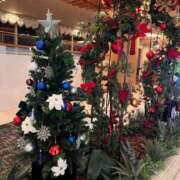 かりあ クリスマスツリー🎄 成田人妻花壇