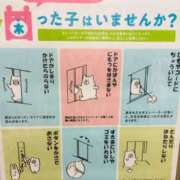 はな 左上は☝️ 横浜泡洗体デラックスエステ
