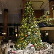 ヒメ日記 2024/12/14 18:59 投稿 るみ 東京エステコレクション 新橋・銀座