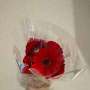 ヒメ日記 2024/12/15 12:02 投稿 るみ 東京エステコレクション 新橋・銀座