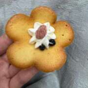 ヒメ日記 2025/02/27 23:45 投稿 るみ 東京エステコレクション 新橋・銀座