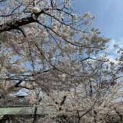 ヒメ日記 2025/04/09 23:45 投稿 るみ 東京エステコレクション 新橋・銀座