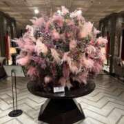 ヒメ日記 2025/04/14 18:00 投稿 るみ 東京エステコレクション 新橋・銀座