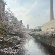 ヒメ日記 2025/04/14 23:45 投稿 るみ 東京エステコレクション 新橋・銀座