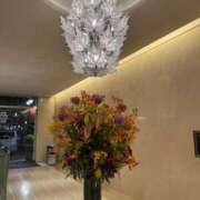 ヒメ日記 2025/07/15 21:00 投稿 るみ 東京エステコレクション 新橋・銀座