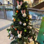 ヒメ日記 2025/12/10 23:30 投稿 るみ 東京エステコレクション 新橋・銀座