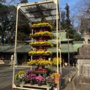 ヒメ日記 2025/12/11 17:00 投稿 るみ 東京エステコレクション 新橋・銀座