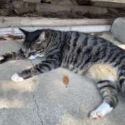 ヒメ日記 2026/04/02 12:32 投稿 希歩／きほ 大宮人妻セレブリティ（ユメオト）