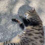 希歩／きほ 本日… 大宮人妻セレブリティ（ユメオト）