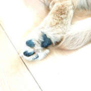 ヒメ日記 2025/04/26 21:06 投稿 あき 素人妻御奉仕倶楽部Hip's松戸店