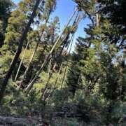 ヒメ日記 2026/01/11 21:41 投稿 あき 素人妻御奉仕倶楽部Hip's松戸店