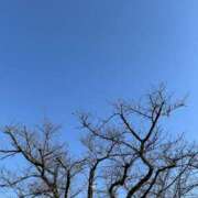 ヒメ日記 2026/02/01 15:29 投稿 あき 素人妻御奉仕倶楽部Hip's松戸店