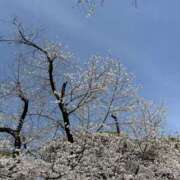 ヒメ日記 2026/03/21 12:34 投稿 あき 素人妻御奉仕倶楽部Hip's松戸店