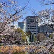 ヒメ日記 2026/03/22 11:59 投稿 あき 素人妻御奉仕倶楽部Hip's松戸店