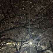 ヒメ日記 2026/03/29 21:44 投稿 あき 素人妻御奉仕倶楽部Hip's松戸店