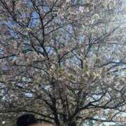 あき 前日予約嬉しいな✨✨ 素人妻御奉仕倶楽部Hip's松戸店