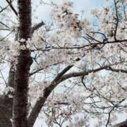 ゆみか 出勤予定🌟⋆꙳ S級美女専門　ロイヤルリング