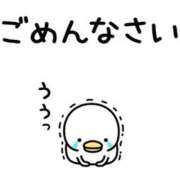 ヒメ日記 2024/12/29 09:32 投稿 一ノ瀬みずき 五十路マダムエクスプレス豊橋店（カサブランカグループ）