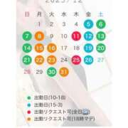 ヒメ日記 2025/12/04 14:10 投稿 くれな ごほうびSPA池袋店