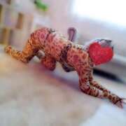 ヒメ日記 2025/03/28 00:22 投稿 あいか One More奥様　立川店