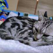 ヒメ日記 2025/03/30 11:34 投稿 あいか One More奥様　立川店