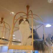 ヒメ日記 2025/07/10 20:59 投稿 あいか One More奥様　立川店