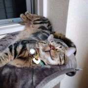 ヒメ日記 2025/07/17 23:39 投稿 あいか One More奥様　立川店