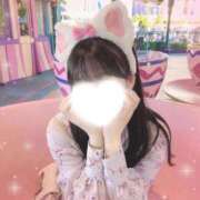 ヒメ日記 2025/06/24 17:51 投稿 あお 池袋しろパラ