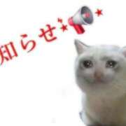 ヒメ日記 2025/05/18 19:39 投稿 あいか One More奥様　八王子店